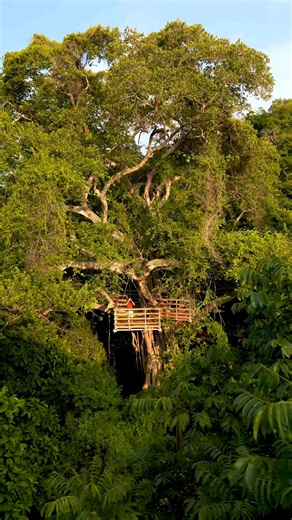Your gateway to nature’s playground 🌿🐒 Papagayo Explorers brings you closer to Costa Rica’s wonders. Guided by experts, discover hidden trails, breathtaking views, and the soul of the dry forest, just minutes from your stay. Ready to explore? https://bit.ly/3PAZ70b | Four Seasons Resort Peninsula Papagayo, Costa Rica