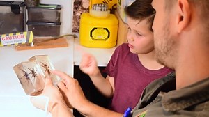 8.2K views · 297 reactions | ️ FUNNEL WEB SURVIVOR VISITS REPTILE PARK ️ The Australian Reptile Park had a very special guest recently – Riley! Riley was unfortunate enough to be on the receiving end of a Funnel Web spider bite, but thanks to our anti-venom program he survived. We got him out here as soon as we could to show him around and he thanked the keepers for saving his life! | Australian Reptile Park | Facebook