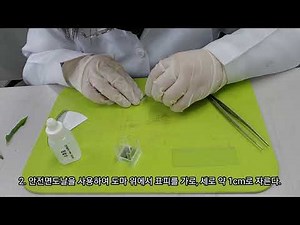 기공, 공변세포 관찰 실험방법