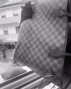 5.1K views | Non siete pronte per domani ✨ intanto goditi i nuovi arrivi sul  vivovintage.com | Vivo vintage | Facebook