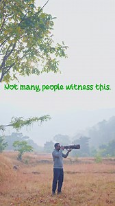 “Mottled Wood Owl resting in its natural habitat 🦉🌳” #explorepage #reels #nature #birdsofinstagram #owl | Shantanu Somwanshi