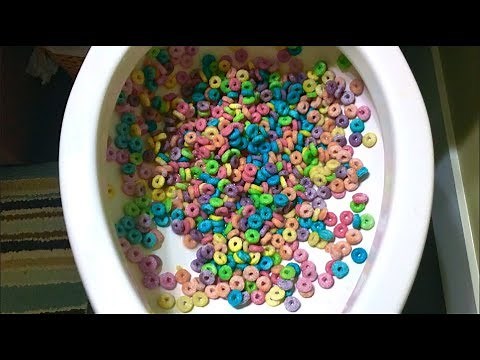 Will it Flush? - Froot Loops 2