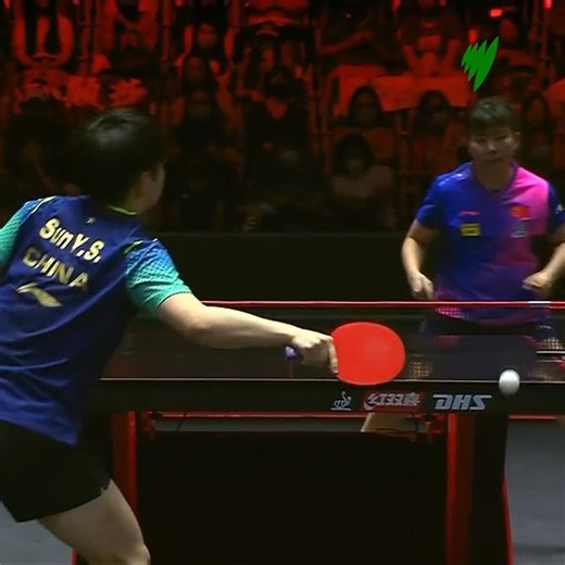 “This is hardcore.” The defending champion is out! 🏓 💻 Singapore Smash 2024 | Stream free on SBS On Demand here: https://bit.ly/3wWpQhB | SBS Australia