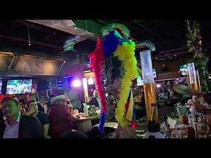 OJOS LOCOS DALLAS BIKINI CONTEST 2025- COSTUME WALK 8-6-25 #bikinicontest #bikini #contest #women