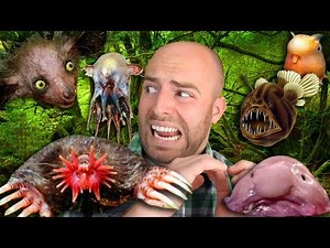 The 10 WEIRDEST ANIMALS in the World!