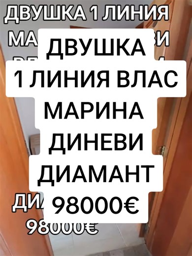 Paradise Real Estate on TikTok