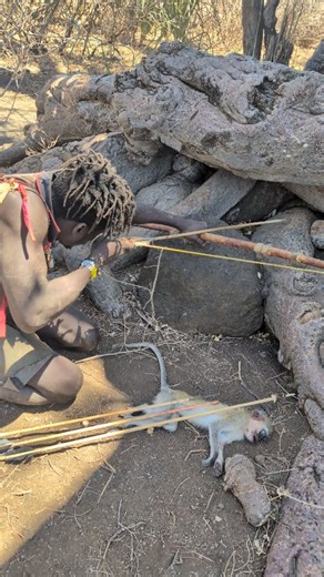 @my_africa_culture on Instagram: "Use Arrows Hunting Monkeys Hadzabe tribe Lifestyle #culture #africa #traditional"