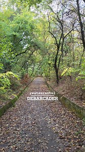 125 de ani de la inaugurarea restaurantului Debarcader din Calafat! | Ziarul De Calafat