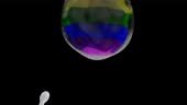 Semen swimming to human egg with LGBT rights flag colors representing...