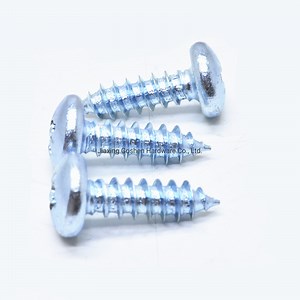 [Hot Item] Phillips/Slot Round Head Self Tapping Screw
