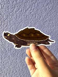 Mississippi Map Turtle Sticker - Etsy