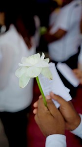 Commemorating Vesak through Faith and Fellowship In deep respect for Vesak, Asian Paints Causeway organized a Bathi Gee program and Dansal to reflect on the values of peace, compassion, and unity. It was a privilege to come together as a team and give back to our community during this sacred time. #AsianPaintsCauseway #VesakDay | Asian Paints Causeway