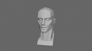 LOOMIS planes head bust - Download Free 3D model by cgmonkey