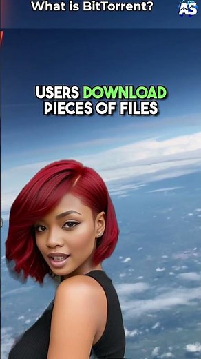 Bittorrent EXPLAINED in 20 Seconds!