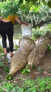 51K views · 1.3K reactions | Nhân Sinh Như Mộng on Reels | Facebook