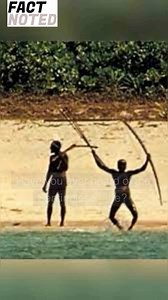 The Mysterious Sentinelese: The World's Most Isolated Tribe | Fact Noted 🤯😮 #shorts #shortsfeed #viral #viralvideo Description : Have you ever heard of the Sentinelese tribe? This group of people has lived in isolation on a small island in the Indian Ocean for thousands of years. In today's video, we'll explore some fascinating facts about the Sentinelese. Hashtags : #shorts #youtubeshorts #shortvideo #short #ytshorts #viral #Sentinelese #IsolatedTribe #UncontactedPeople #IndianOcean #Culture 