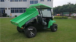 [Hot Item] Electric Utility Vehicles UTV with Open Type Container