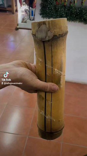 3K views · 18 reactions | Mono Carablanca Cebus imitador...