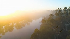Wake up to stunning views of the Murray River from your houseboat! Enjoy your morning coffee while soaking in the beauty of nature. Ready to experience this paradise? Book your escape today! ❤️✨ #EchucaLuxury #MurrayRiverMagic | Echuca Luxury Houseboats