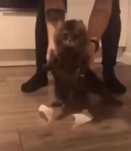 hello tik tok #phonesaway