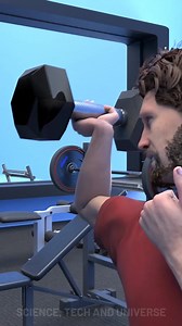 How Do Muscles Grow? | Science, Tech and Universe