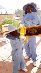 Een educatief dagje bij de Bijen Tuin  In Hatta bij de Hatta Honey Bee Garden leer je gegarandeerd meer over deze zoemende diertjes. #VisitDubai #VisitHatta | Visit Dubai - Bezoek Dubai | Facebook