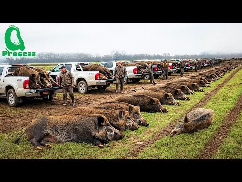 Shocking Video: Watch How An Alabama Farmer Cleared 9.8 Million Feral Hogs #wildboars