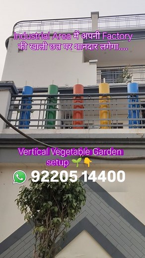 Vertical vegetable Garden setup and services in Industrial area | Veg Roof वेज रूफ