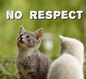 Poem: No Respect