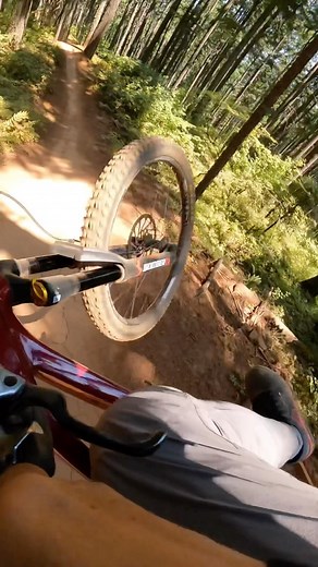 Did some post canyon rips with the crew today!. • • • @Maxxistires @Maxxisbike @YT_Industries @The_YT_MOB @fiveten_official @odigrips @odi_mtb @YoshimuraCycling @ProfileeliteMTB @marzocchi_mtb @JustLive @dyedbro @DeityComponents @Bikehouseca #MaxxisTires #ProfileRacing #RideDeity #YTindustries #LiveUncaged #TheYTMob #brandofthebrave #BikeHouseca #mtb #mountainbike @trpcomponents | Anthony Napolitan