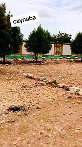 Caynaba Jamuuriyada somaliland 🟩⬜️🟥 | Kaise Ismail