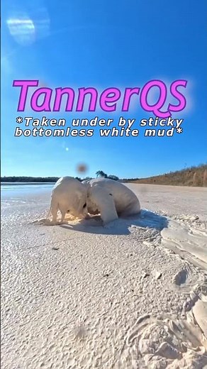 Taken under by sticky bottomless white mud