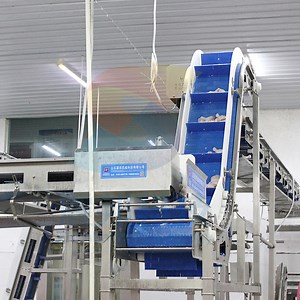[Hot Item] Broiler Chicken Slaughter Automated Poultry Processing Line for Industrial Meat Production