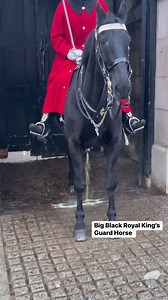 1.3M views · 3.6K reactions | Majestic Horse Guards Parade! ✨...