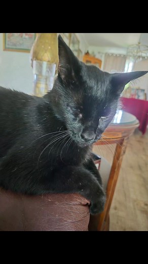 PreakDay at #wandasboutique , #IrishBistro & #thechateauondeerpointlake | Wanda Barnes