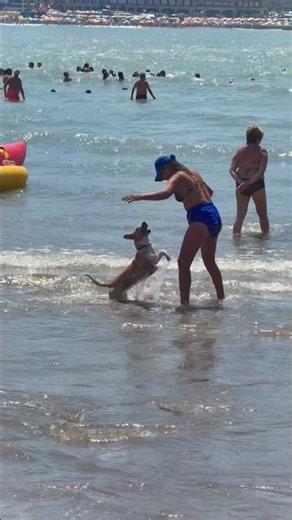 🇦🇷 Summer in Argentina | Mar del Plata Beach