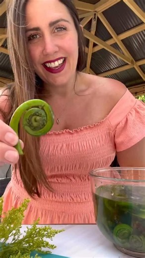 Kara 🔥 Backyard BBQ Mom on Instagram: "Have you ever heard of Fiddleheads? 🌱 it’s fiddlehead season so let Kara from @ScaleAndTailor show you how to make them. . Fiddleheads are DELICIOUS! They are very hard to find (usually foraged), and only come out for a very short period here in Ontario / Canada. They are young ferns that have not blossomed. If I had to describe the taste - a very strong asparagus. We shallow fried these on my @pitbossgrills Griddle. . . . . . FULL fiddleheads recipe down