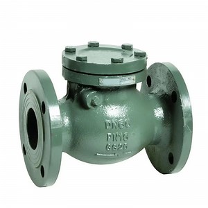 [Hot Item] ANSI 125/150 DN150 6 Inch Pn16 Double Flange Cast/Ductile Iron Swing Check Valve
