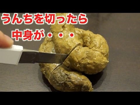 When I cut up real poop with a cutter, the contents were XX lol