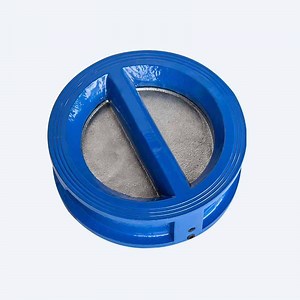 [Hot Item] Precision Dual-Disc Check Flow-Control Pipeline Valve