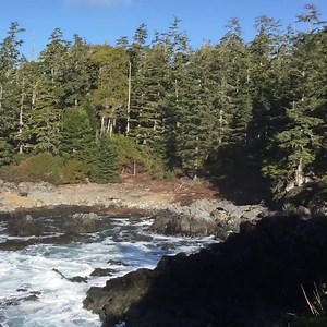Tofino and Ucluelet | Super, Natural British Columbia
