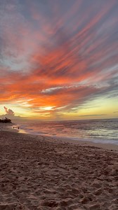 27K views · 874 reactions |  Ein kleines Sonnenuntergang-Picknick...