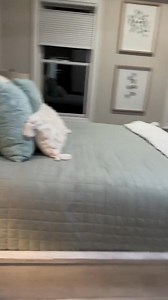 Night night ✨ Secure a Holster Gator anywhere - nightstand, vehicle, or desk. Stay ready when seconds matter. Where do you need one? | Eclipse Holsters