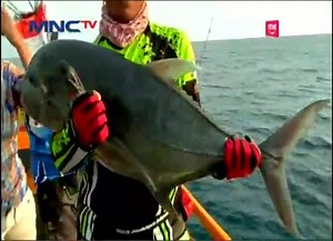 5.5K views · 107 reactions | Mancing Ikan Predator di Laut Nias Selatan . . Bagi mau pecinta mancing, zona lalu Nias patut kamu coba, apalagi bagi para pemburu ikan predator - MNCTV News | MNCTV | Facebook