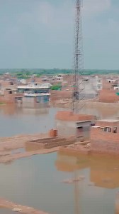 Summan Sheikh on Reels