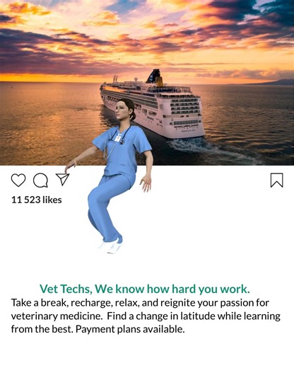 1.4K views · 7 comments | Veterinary medicine is hard, finding epic ce shouldn't be! Join us for 5 exciting and educational days at CE Sea. Miami-Jamaica-Haiti starting at $500 (cabin, food, entertainment, fees and tips) and $400 CE (early bird special $379 through 7/1). #Vettechlife #vettechlifeceonthesea #veterinary  | VetTechLife | Facebook