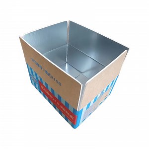 [Hot Item] High Strength Insulated Packaging Carton Boxes for Cold Chain Shipping