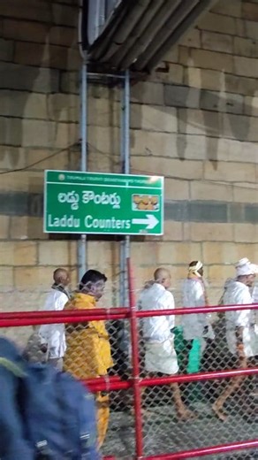 TTD Balaji Temple Laddu counter..... #tirupathi #thirumala #perumal #govinda | South Tube