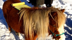 It's hard to imagine a more perfect setting for all this horseplay than Heartland Ranch! Enjoy this fun compilation of blunders and behind-the-scenes snapshots and be sure to catch episodes of Heartland airing SUNDAYS from 11AM/10c - 4PM/3c on COZI TV! | Cozi TV