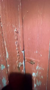 65K views · 982 reactions | Lured into trap #foryou #haunted #darkenergy #monsters #scary #cryptid #ufo #drones #cryptid | Caught Outdoors | Facebook